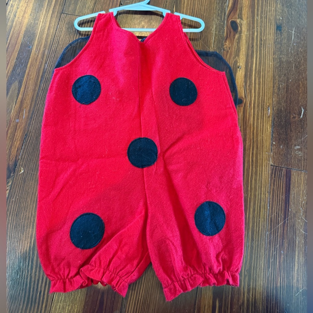 Toddler Ladybug One-Piece Costume- 12-18mo
